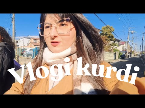 Kurdish vlog la Japan / roishtin bo bazar 