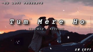 Tum Mere Ho - Lofi(Slowed + Reverb) | Jubin Nautiyal | Hate Story IV | SH LOFI