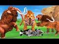 Giant Tiger Attacks Cow Cartoon Saved By The Big Bull Elephant Woolly Mammoth VS Saber-Toothed Tiger