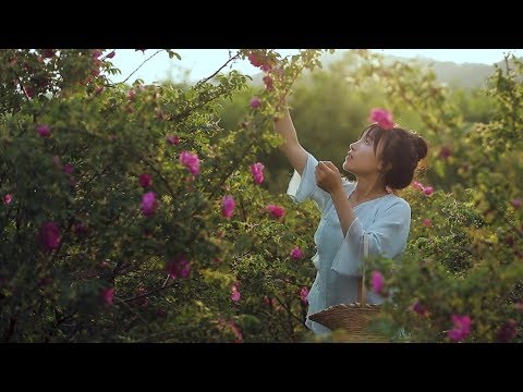 同じアジアに古き良き日本を思ふ｜Logic
