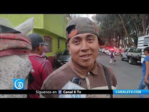 Video: Jubilan con dignidad a caballos de trabajo en los Reyes La Paz