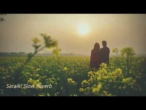 Sari Naseeban di khel Slow Reverb Saraiki Song | Ameer Niazi | Saraiki Slow Reverb