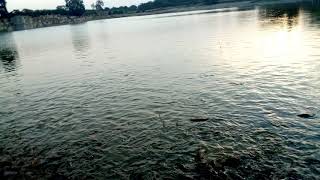 preview picture of video 'Chittordagarh me jo kila he vha Ki talab fish ok'