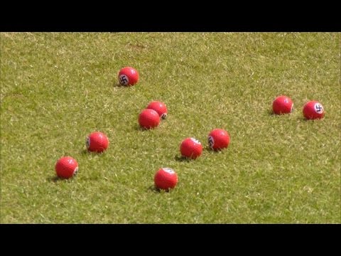 Donald Trump Protester Hands Out Red Swastika Golf...