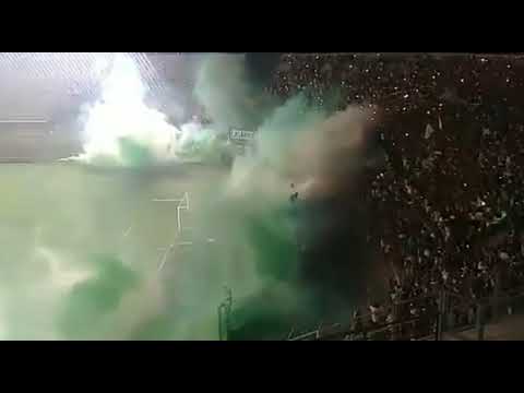 Desamparados vs san martin ( Recibimiento)