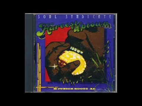 DIVULGANDO: Soul Syndicate - Jam Down Rock  / M Jr Roots - AL