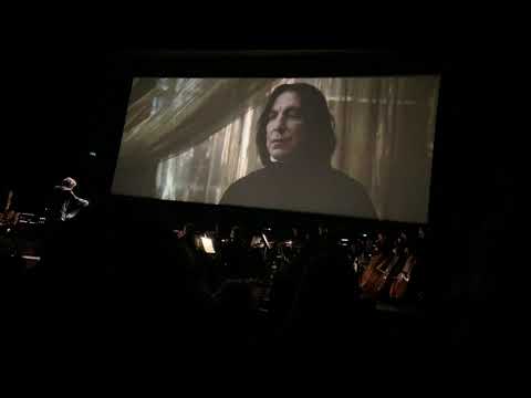 Harry Potter and the Half Blood Prince in concert - The Slug Party