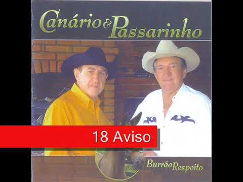 Burrão De Respeito - Canário e Passarinho