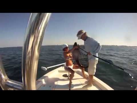 Beach Fishing for Cobia — Sharks Behind the Shrimp Boats | New Smyrna Beach