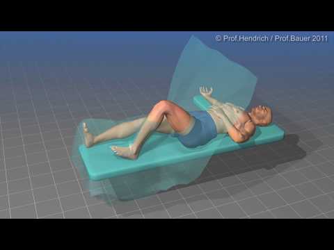 Künstliches Knie - Patienteninformation von Prof. Dr. med. Christian Hendrich