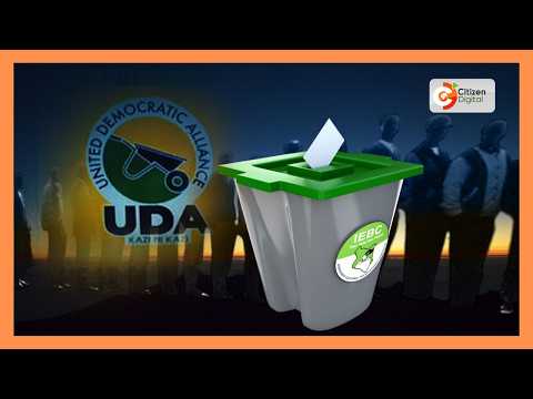 UDA officials hail by-election sweep, pledge support for Ruto’s re-election