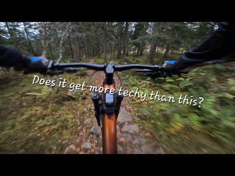 Sten dh Trysil bike park