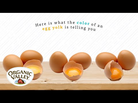 Why are Egg Yolks different colors? | Ask Organic Valley
