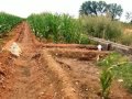 Irrigation In Ancient Mesopotamia