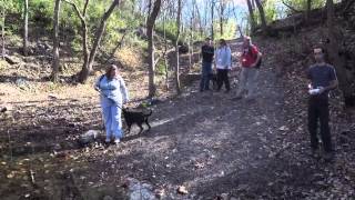 preview picture of video 'Tails of the Trail - jailbreak shelter dogs for a hike! Nashville, Tennessee'