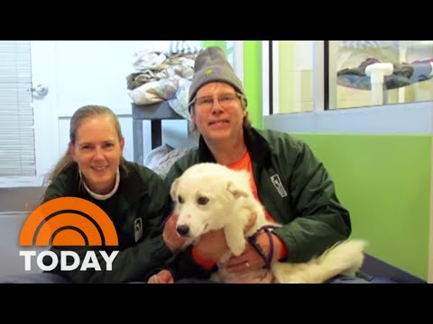 Meet The Vets Using Cutting-Edge Technology To Save Dogs With Heart Disease | TODAY