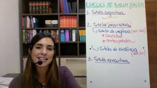 Tutela cognitiva, executiva e provisória