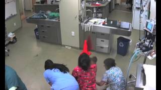 When a dog hates the vet so very much