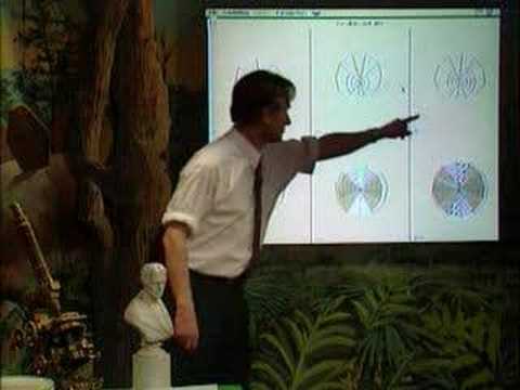 Richard Dawkins - Designed and Designoid Objects (Part 5-6)