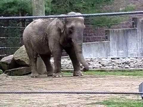 5.19.18 Emily swaying