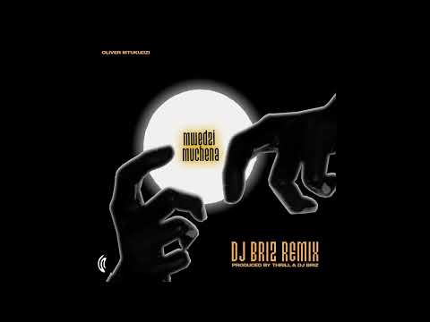 Brze & Thrill4Real - [Dj Stavo - Mwedzi Muchena ft Oliver Mutukudzi] (Brze&ThrillBootleg)
