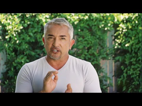 César 911 : Spécial 0x5 | Maudit à Hong Kong