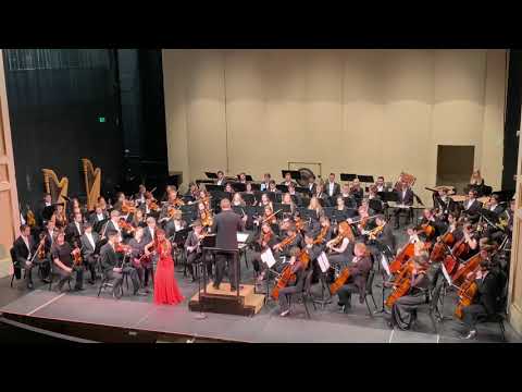Johannes Brahms Violin Concerto (mvt 1)