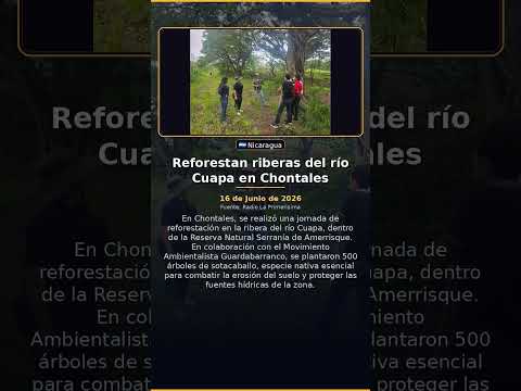 Reforestan riberas del río Cuapa en Chontales