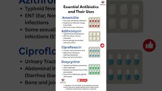 💊 Essential Antibiotics and Their Uses - Antibiotics information