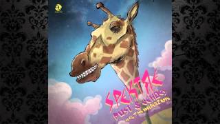 Spektre - Dust & Echoes (The Welderz Remix) [ANALYTICTRAIL]