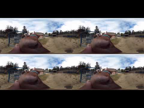 6 DAY OLD COW BABY / 3D LUME TABLET LIGHTFIELD TEST!!