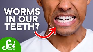 5 Things Humans Got Really Wrong About Our Bodies