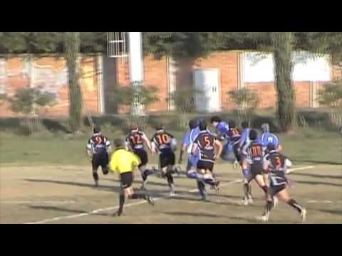 Leonardo Sarto Highlights