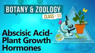 Abscisic Acid - Plant Growth Hormones - Plant Growth and Development - Biology Class 11