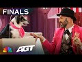 Adrian Stoica & Hurricane pull out all the stops to IMPRESS Sofia Vergara! | Finals | AGT 2023