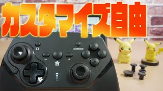 【万能】カスタマイズ自由のNintendo Switchコントローラーを紹介