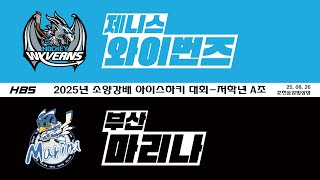 LIVE / 저학년 A조 / 와이번즈 VS 부산마리나 / 2025년 소양강배 아이스하키 대회