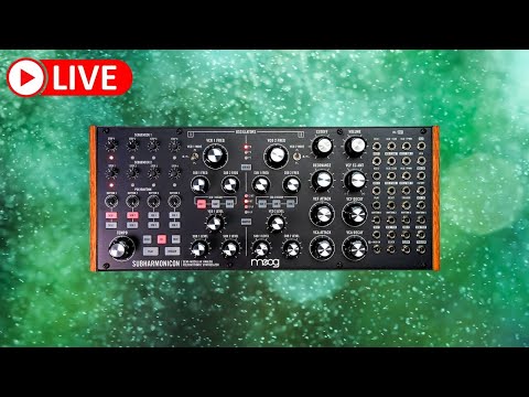 Moog Subharmonicon - Synth Livestream - NoirEtBlancVie