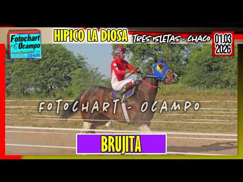 BRUJITA Tres Isletas CH 01 03 2026