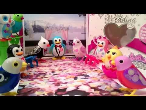 download lagu mp3 mp4 Digibirds Wedding, download lagu Digibirds Wedding gratis, unduh video klip Digibirds Wedding