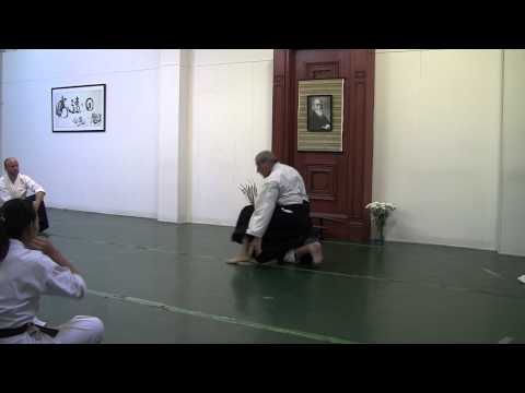 The Art of Ukemi: Fundamentals/Moonsensei