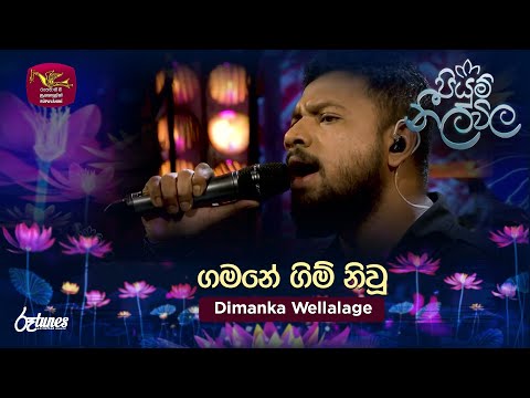 Gamane Gim Niwu | ගමනේ ගිම් නිවූ | Dimanka Wellalage | Piyum Neela Vila | Roo Tunes