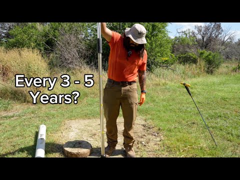 when should you pump out your septic tank