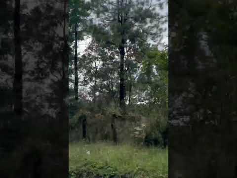 En el fin de San Ignacio chalatenango