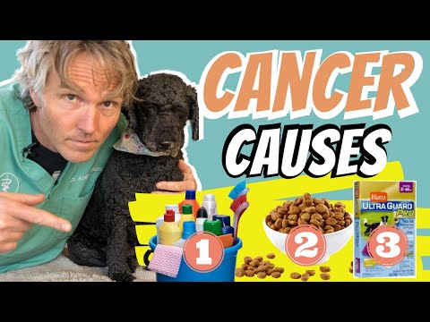 Cancer Causes in Dogs and Cats