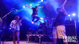 Tribal Seeds - Roots Party Tour (2018)
