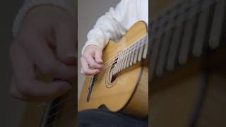 Download lagu Passionate Tango ”Libertango' #shorts  #fingerstyle  #classicalmusic mp3