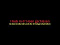 I hob in d´Hosn gschissen (Radio Mix)
