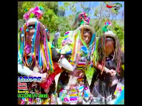 SAN MARCOS 2025 - "Rosasay" 2parte - Pinkillo. #shortsviral  #almaproduccionesbolivia #cultura