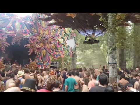 Pleidians @ Connection Festival 2017